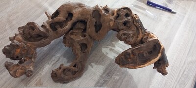 Terrarium wood