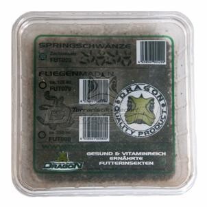 ​​Springtails (Folsomia candida) breed culture in box.