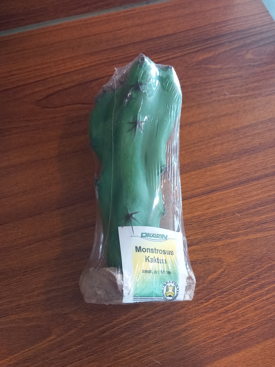 ​​Dragon Monster cactus 18cm