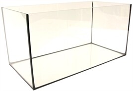 Aquaria