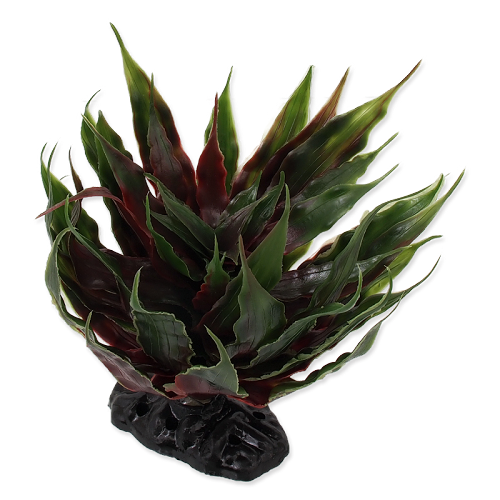 RP PLANT SUKULENT AGAVE GEEN 18CM