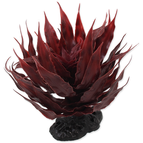 RP PLANT SUKULENT AGAVE RED 18CM