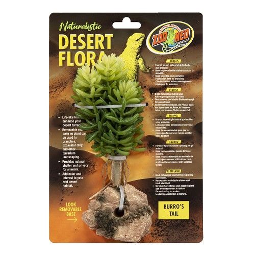 ZOO MED DESERT FLORA – BURRO’S TAIL