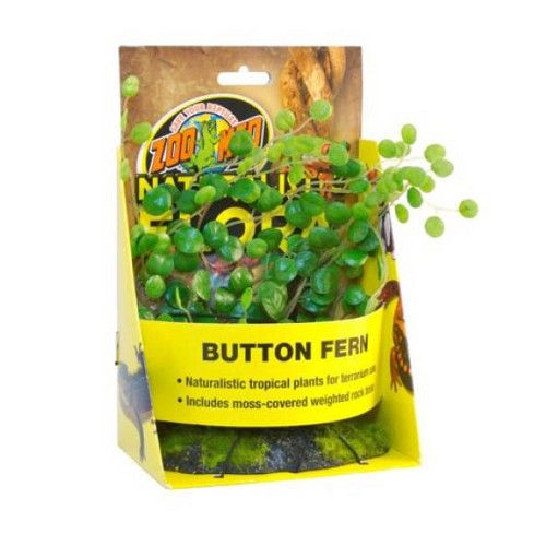 ZOO MED BUTTON FERN