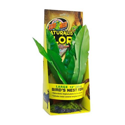 ZOO MED BIRD NEST FERN 30CM