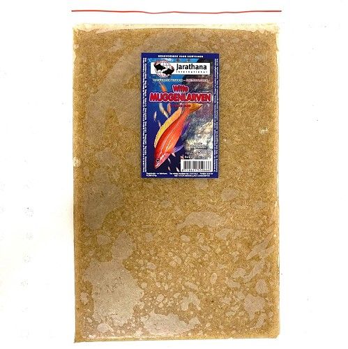 Weiße Mückenlarven 500 Gramm