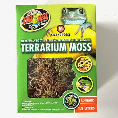 Terrarium moss