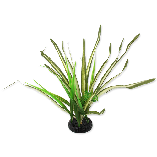 RP Plant Spartina 30cm