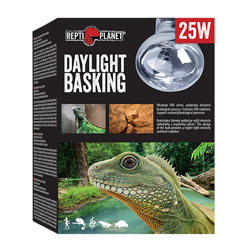 RP Bulb Daylight Basking Spot