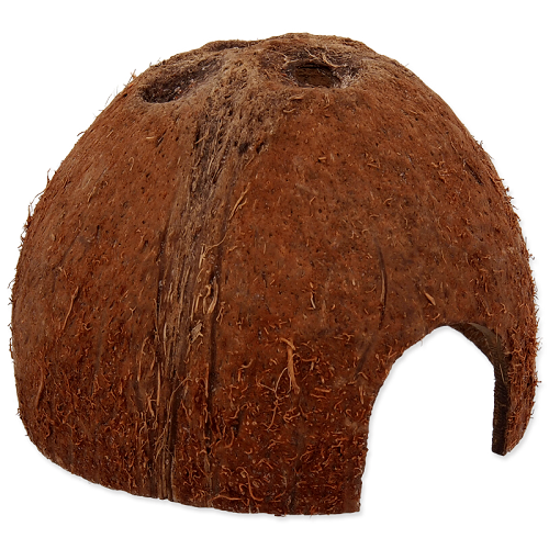 half coconut L Repti planet