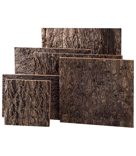 Background cork natural Repti planet