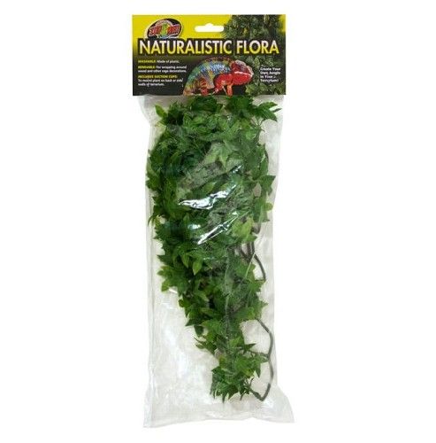 Medium Congo Ivy zoo med 46cm