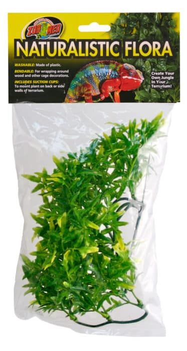 medium bolivian croton zoo med 46 cm