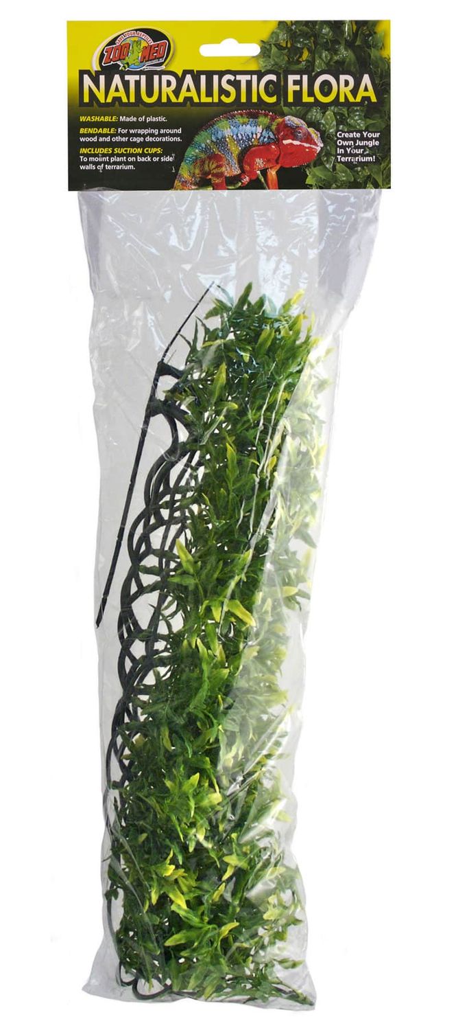 large bolivian croton zoo med 56cm
