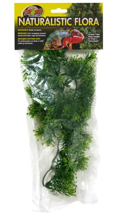 large borneo star zoo med 56  cm