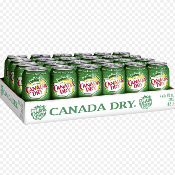 Canada dry 33cl x 24