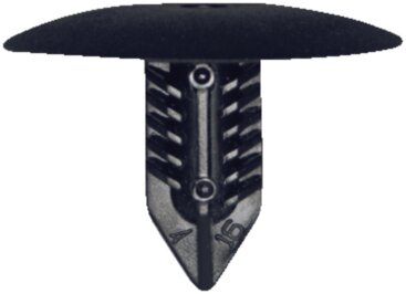 7703077435