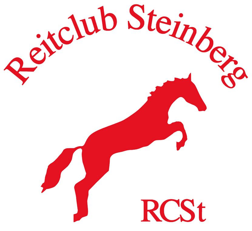 RC Steinberg e. V. Bestickung