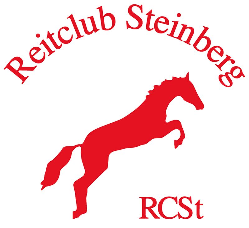 RC Steinberg e. V. Fremdware - Bestickung