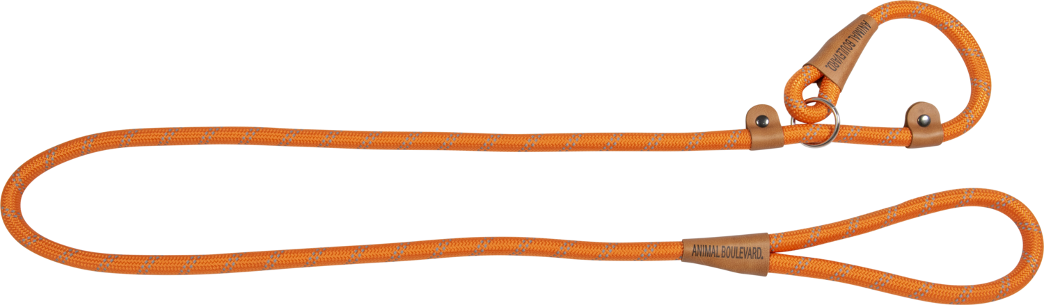 School leash oranje 15mmx180cm Art. Nr. 00201