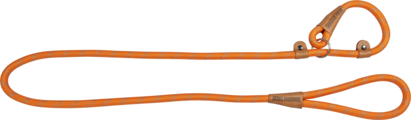 School leash oranje 15mmx180cm Art. Nr. 00201