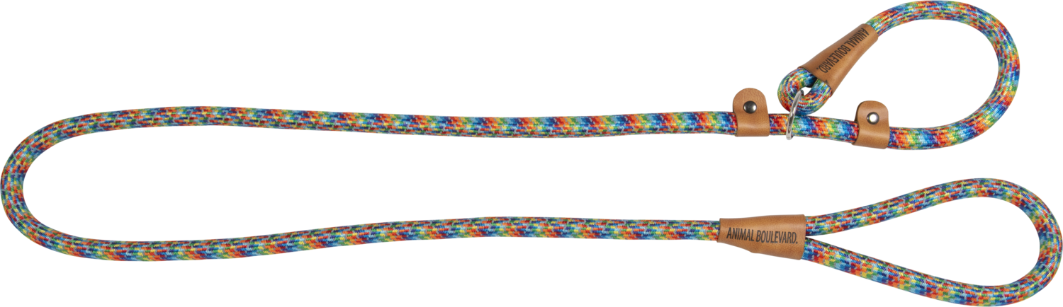 School leash regenboog 15mmx180cm Art. Nr. 00203