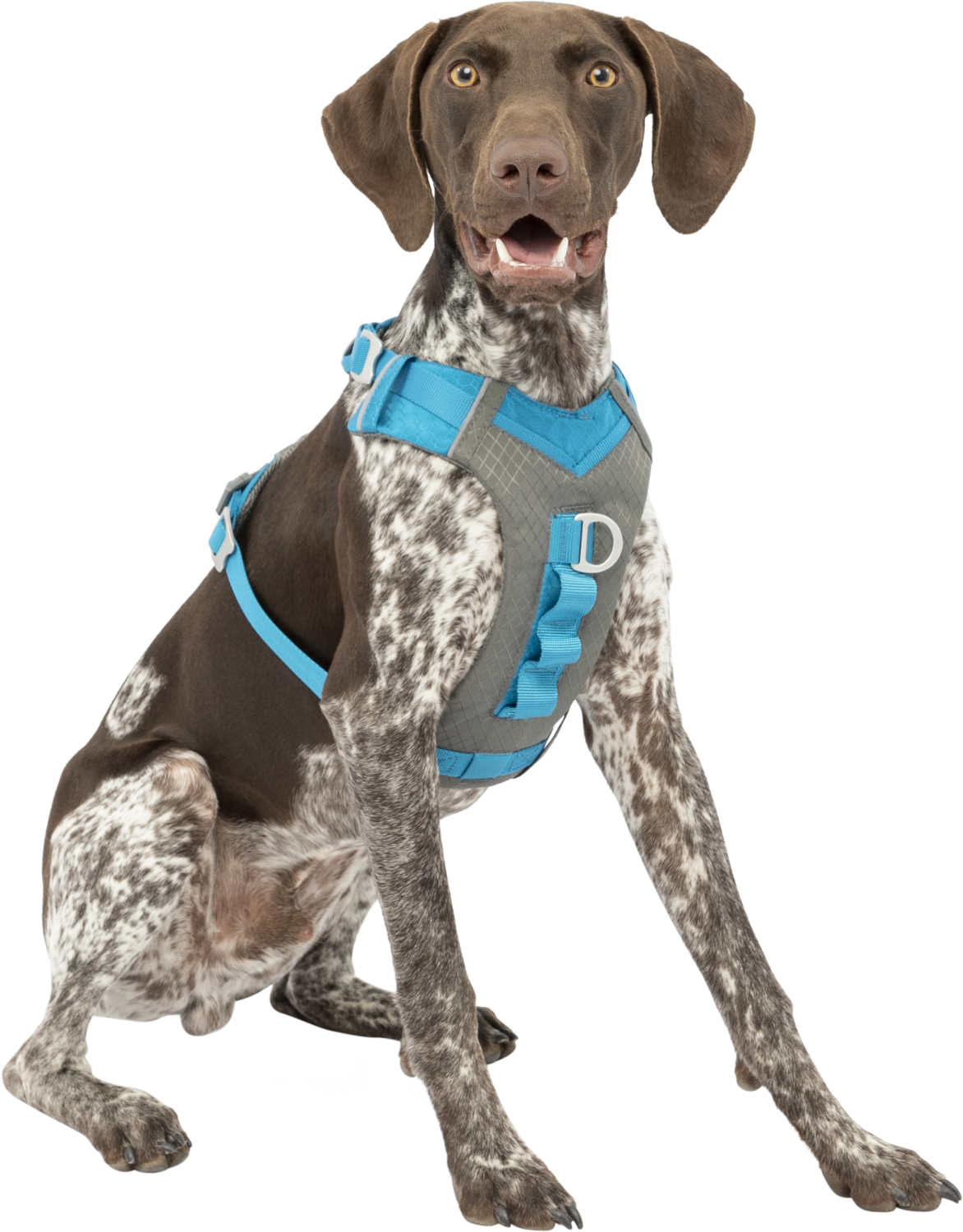 KURGO Journey air tuig blauw Art. Nr. 00275