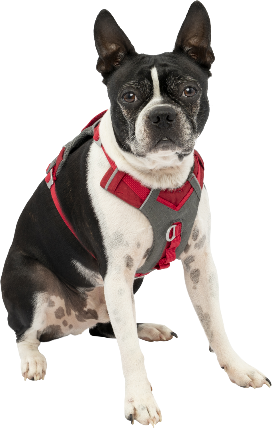 KURGO Journey air tuig rood Art. Nr. 00276