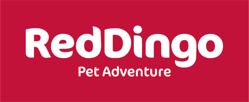 RED DINGO leiband rood Art. Nr. 00282