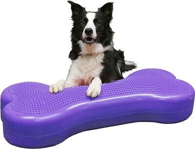 Giant K9FITbone violet Art. Nr. 00328