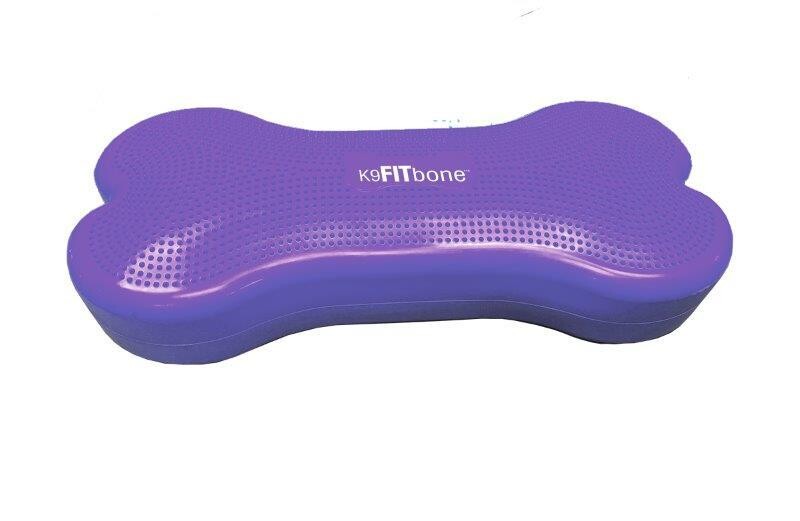 Giant K9FITbone violet Art. Nr. 00328