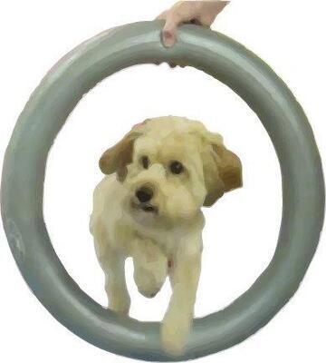 FitPAWS donut holder Art. Nr. 00333