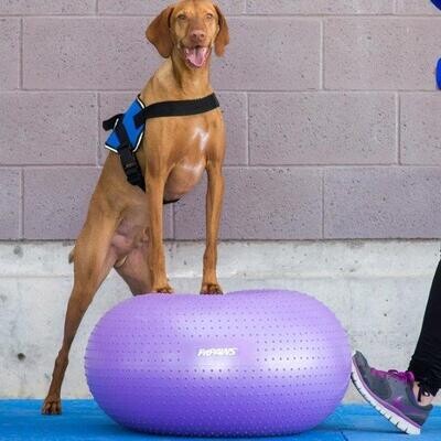 FitPAWS trax donut paars 55 cm Art. Nr. 00332
