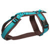 AnnyX hondentuig FUN Turquoise/Bruin Art. Nr. 00866