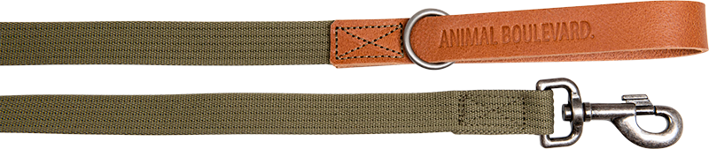 AB Waxed Leather with Canvas Leiband 25mm x 120cm Art. Nr. 00872