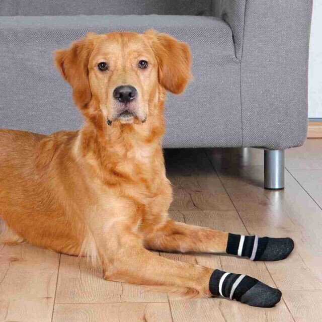 Hondensokken, anti-slip met rubberlaag rondom S-M 2st. zwart Art. Nr. 00897