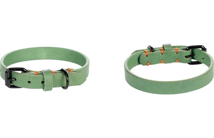 Halsband LEANO Groen Art. Nr. 00910