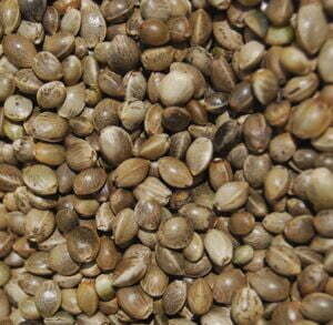 BIO-RON Biologisch Hennepzaad 500gr. Art. Nr. 00953