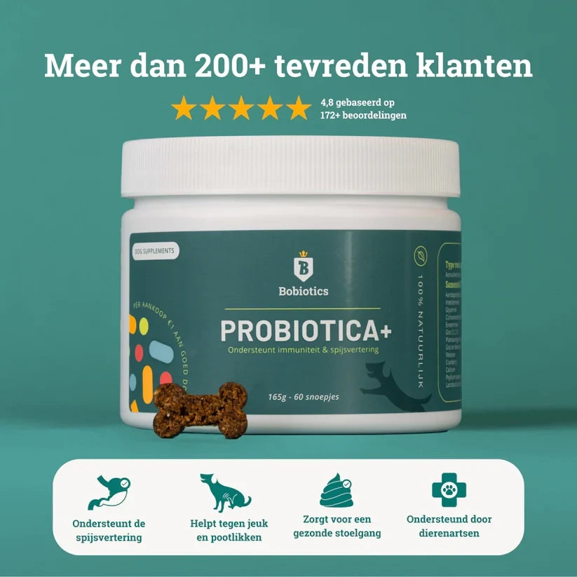 Bobiotics Probiotica + 60st. Art. Nr. 00979