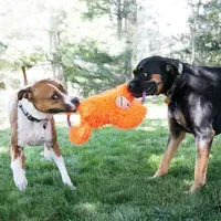 KONG® SPEELGOED TUGGZ AAP ORANJE Art. Nr. 00297