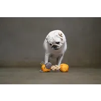 Speelgoed puppy britty giraf met bal met touw meerdere kleuren Art. Nr. 00303