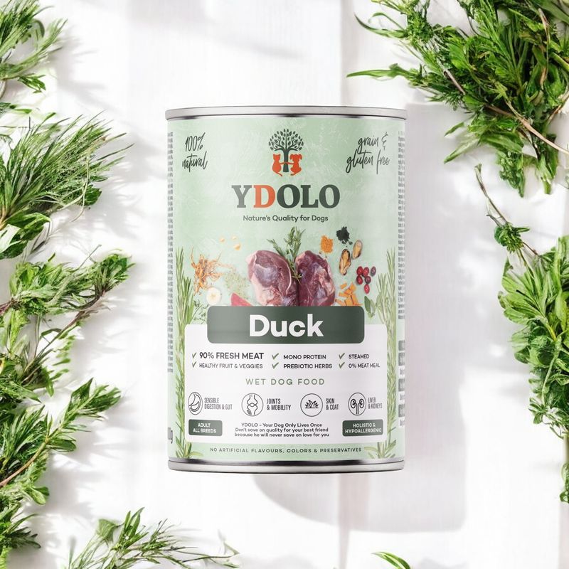 YDOLO Natvoer – Duck Art. Nr. 00449