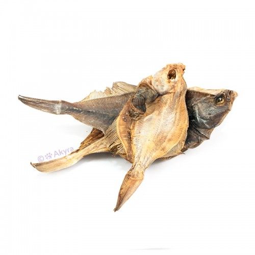 Akyra Scholletjes Art. Nr. 00745