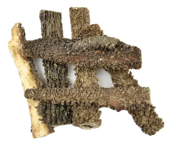 LEONZ - PENS Art. Nr. 00020