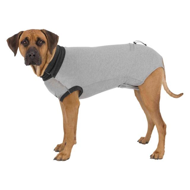 Operatie-Hesje voor honden Art. Nr. 00041