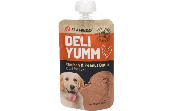 Snack Deli -Yumm pasta met kip &amp;amp; pindakaas Art. Nr. 00310