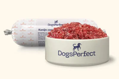 Dogs Perfect