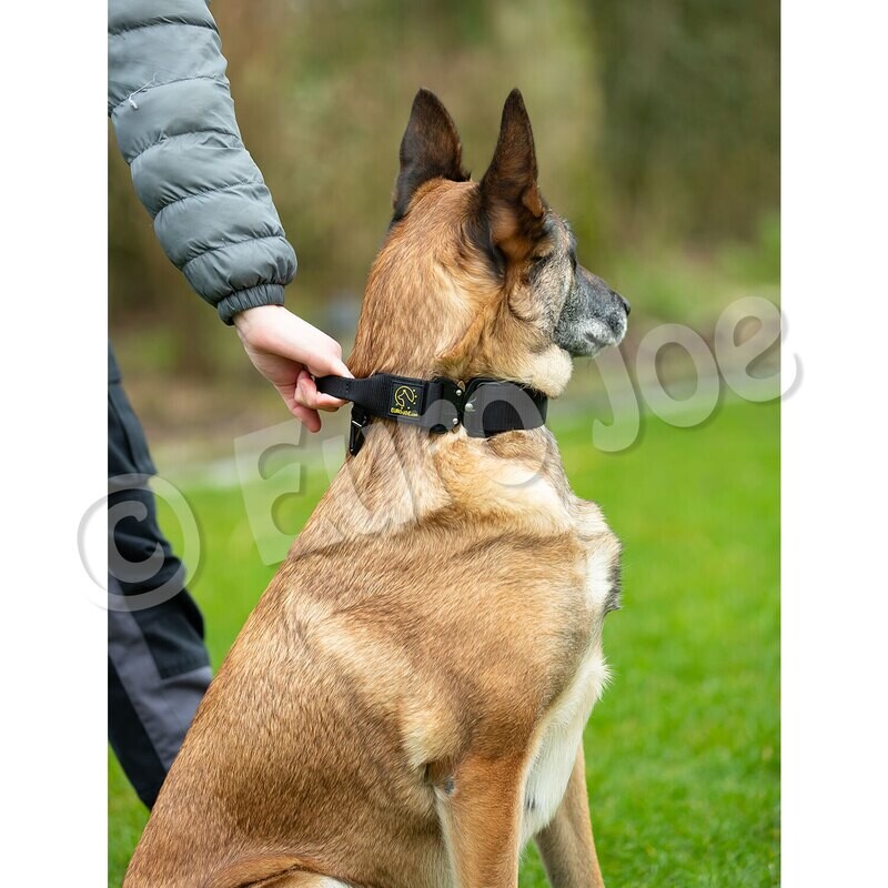 Tactical Halsband 2.0 met handvat Kaki Art. Nr. 00424