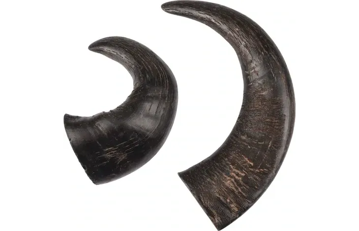 Snack nature hoorn  Art. Nr. 00677