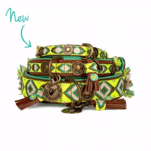 DWAM Ranger Halsband Art. Nr. 00933